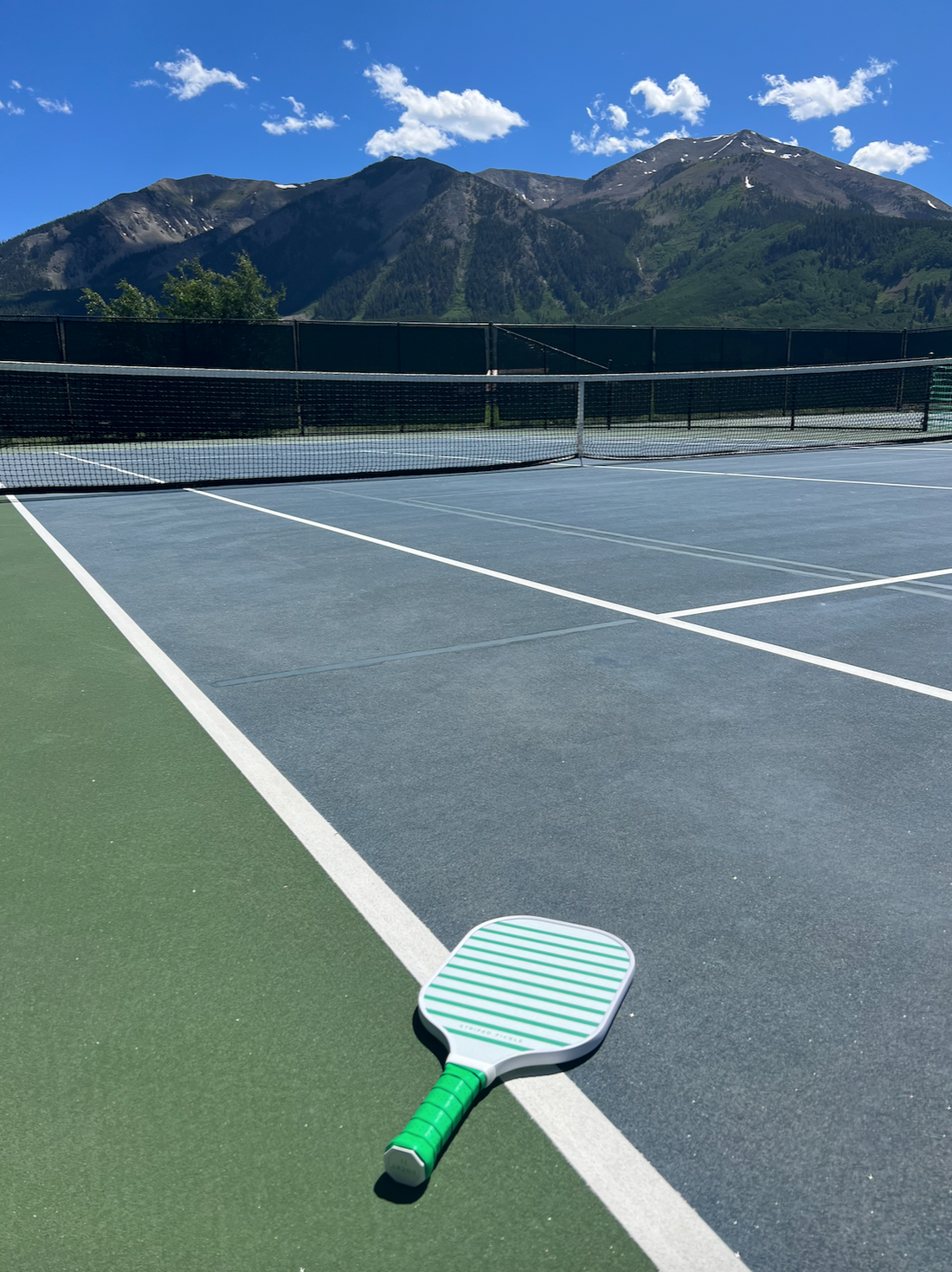 Balancing Fitness and Fun: How Pickleball Enhances Your Wellness Routine